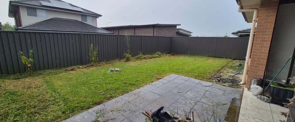 15 after lawns_ 15 after lawns_