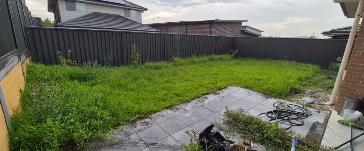 15 before lawns_ 15 before lawns_