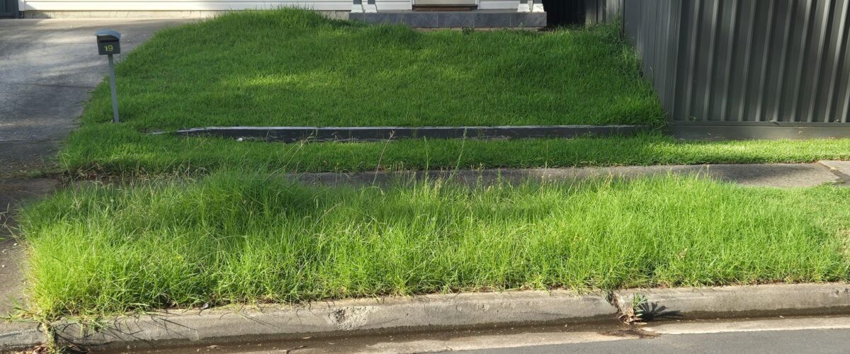 18 before grass_ 18 before grass_