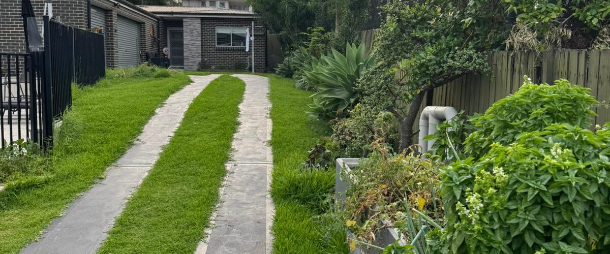 43 lawn mowing before_ 43 lawn mowing before_