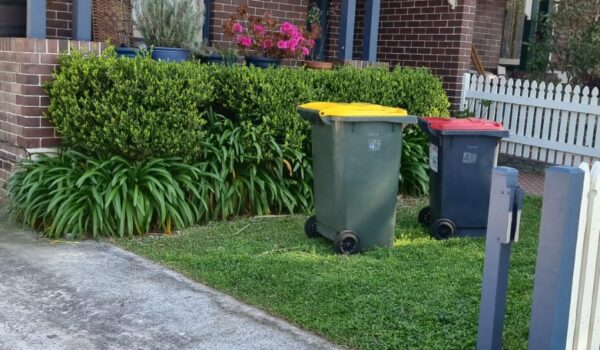 IMG-20260203-WA0252 IMG-20260203-WA0252