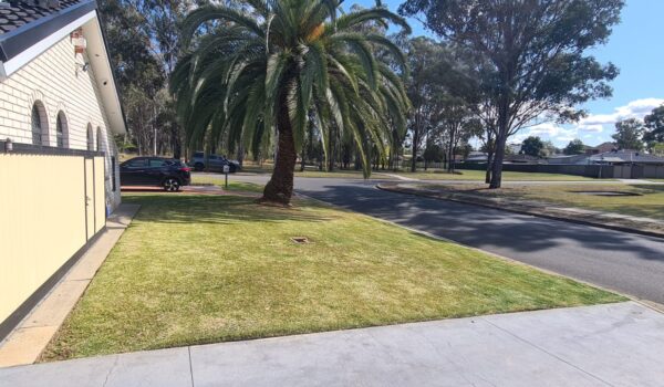 IMG-20260203-WA0258 IMG-20260203-WA0258