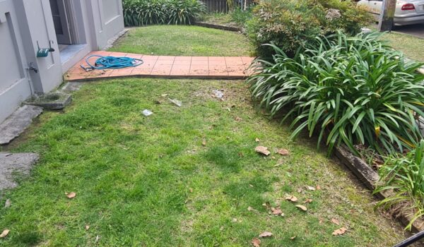 IMG-20260203-WA0263 IMG-20260203-WA0263