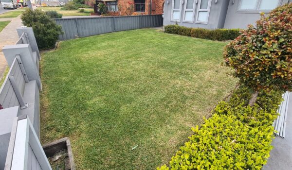 IMG-20260203-WA0298 IMG-20260203-WA0298