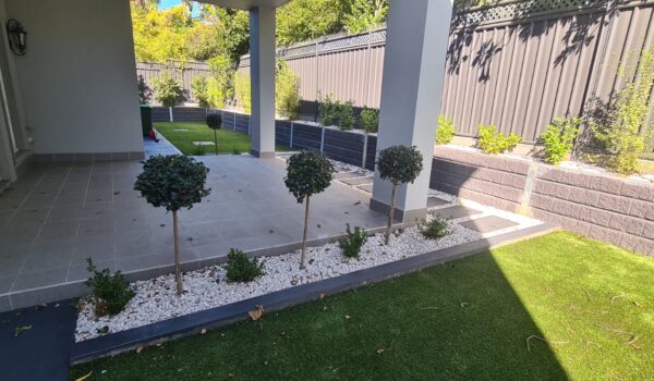 IMG-20260203-WA0332 IMG-20260203-WA0332