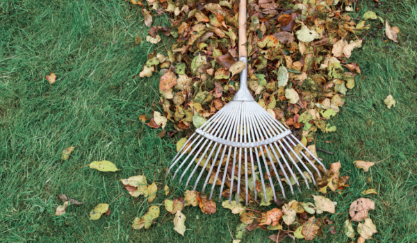 Untitled design (47) Untitled design (47)