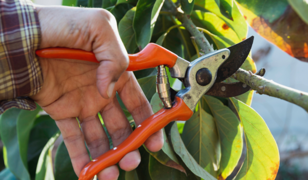 Your paragraph text (1) Your paragraph text (1)