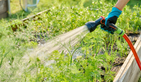 Your paragraph text (16) Your paragraph text (16)