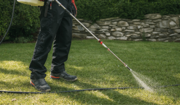 Your paragraph text (18) Your paragraph text (18)