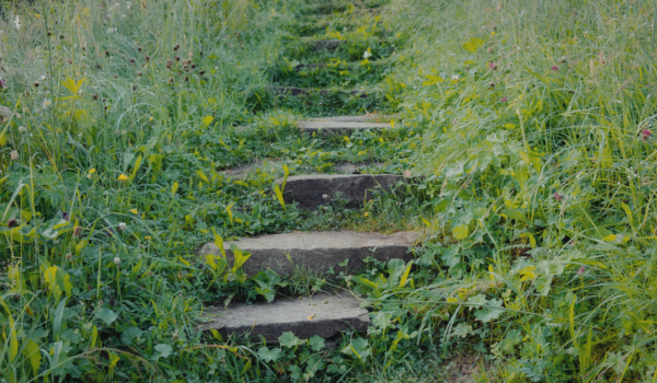 Your paragraph text (20) Your paragraph text (20)