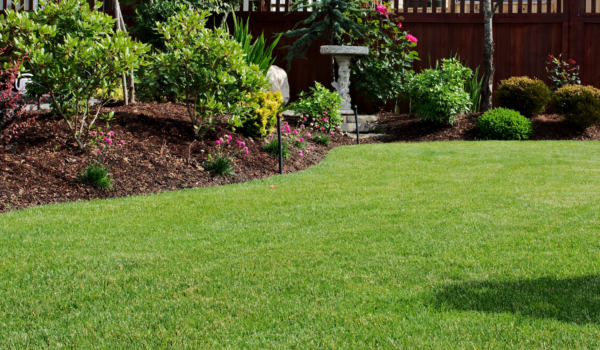 Your paragraph text (22) Your paragraph text (22)