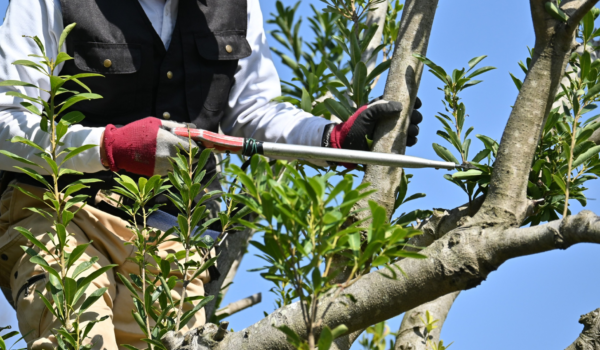 Your paragraph text (4) Your paragraph text (4)